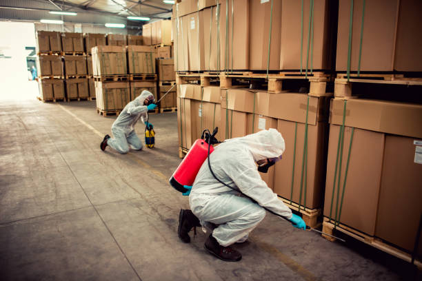 Best Ant Control Services  in Bon Air, VA