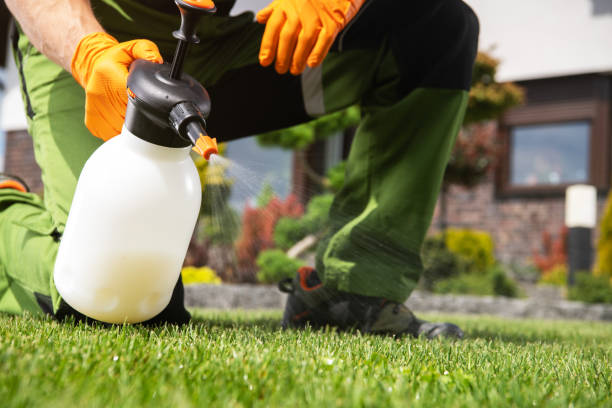 Best Pest Control Near Me in Bon Air, VA