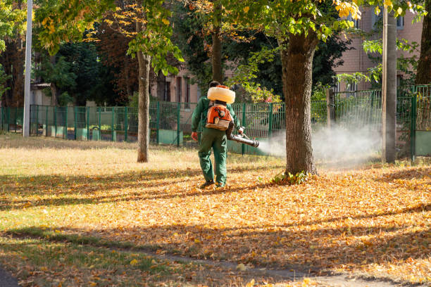 Best Local Pest Control Services  in Bon Air, VA