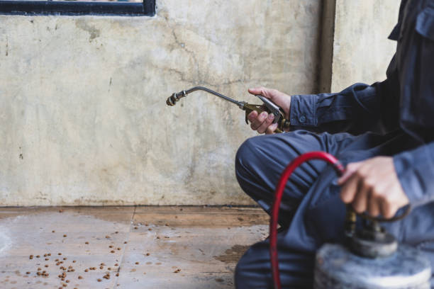 Best Affordable Pest Control Services  in Bon Air, VA
